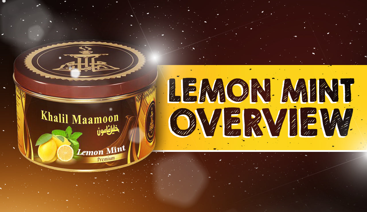 Khalil Maamoon | Lemon Mint Overview